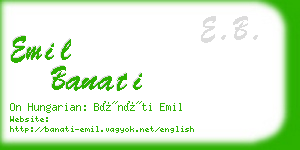 emil banati business card